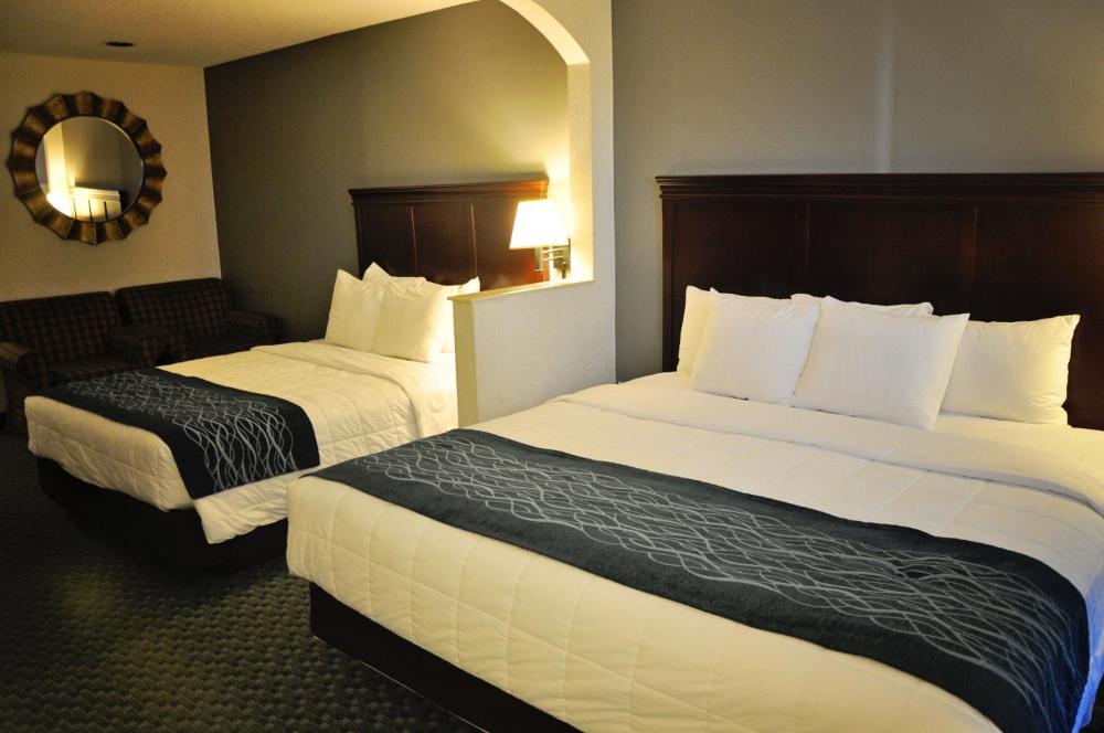 King Room with Queen bed  - Non-Smoking interior
